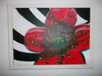 /album/fotogalerie/roter-mohn-30x40-gerahmt-jpg/
